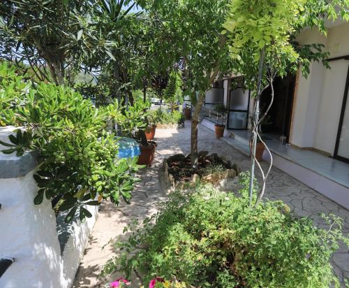 Сад в Villa Dream Garden