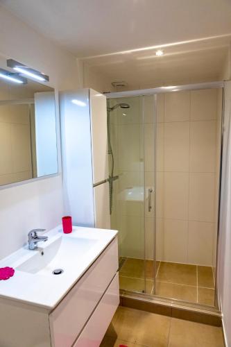 a bathroom with a sink and a shower at Côté terrasse in Malmedy