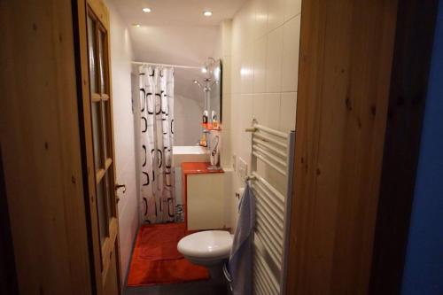 a small bathroom with a toilet and a shower at Ferienwohnung Lichterfelde Apartment in Berlin