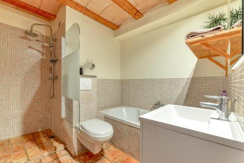 a bathroom with a toilet and a sink and a tub at Gite Soyez in Vélieux