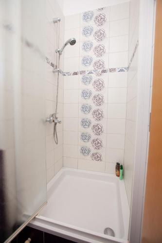 a bathroom with a shower with a white tub at Apartments Guc in Preko