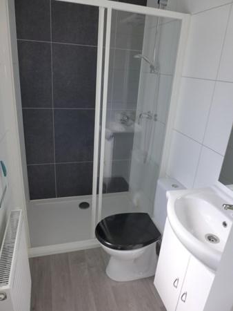 a bathroom with a toilet and a shower and a sink at Chalet Helmgras in Beek
