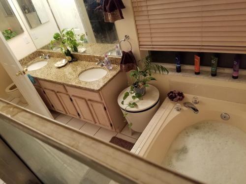 a bathroom with two sinks and a toilet and a tub at Cozy and Conveniently located Pool Home with Free WiFi in Tampa