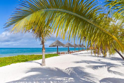 布韋朱的住宿－The Sands Beach Resort，海滩上的棕榈树,带椅子和遮阳伞