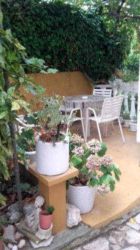 Κήπος έξω από το Apartment Gabric