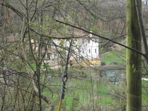 a tree with a building in the background at Casignano in Bagno a Ripoli