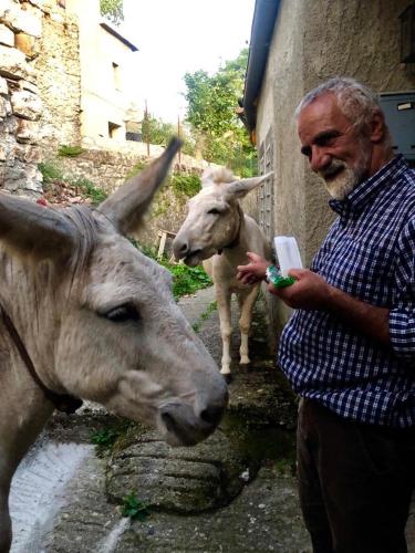 a man standing next to two goats at Viandanti, Artisti e Sognatori in Comano