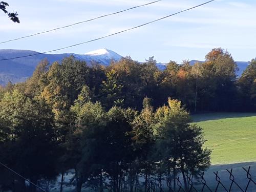 a mountain in the distance with a field and trees at Leśniczówka pod Śnieżką in Bukowiec