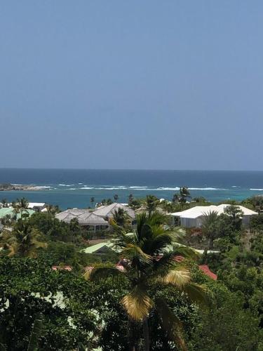 a view of the ocean from a resort with a palm tree at B. O. PARADIS SXM in Orient Bay