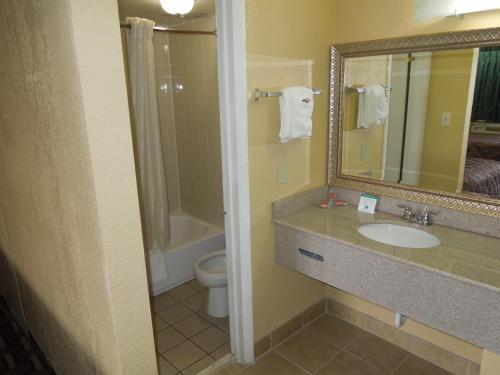 a bathroom with a sink and a toilet and a mirror at Econo Lodge Virginia Beach Town Center in Virginia Beach