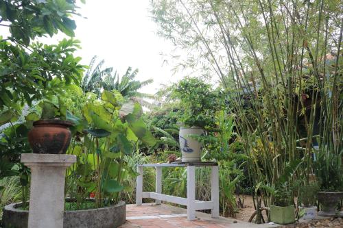 Сад в Yellow Farm Homestay at Tuy Hòa Phú Yên