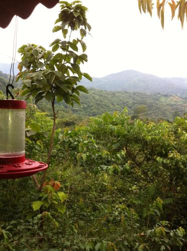 a red bird feeder with a view of a forest at Hotel Minca - La Casona in Minca