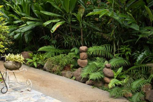 ogród z kamieniami, roślinami i drzewami w obiekcie Haere Mai I Te Fare w mieście Teavaro