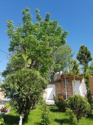 a house with trees in front of it at RAHAT Guest House & Hostel in Toktogul in Toktogul