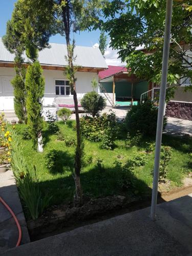 a yard with a tree and a house at RAHAT Guest House & Hostel in Toktogul in Toktogul