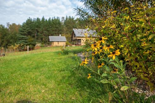 Сад в Słomiany Domek