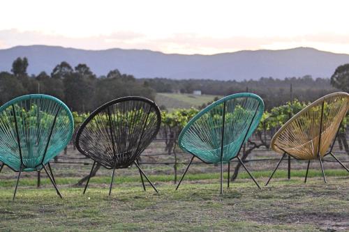 three chairs sitting in the grass in front of a vineyard at Blueberry Hill Vineyard Stay in Rothbury