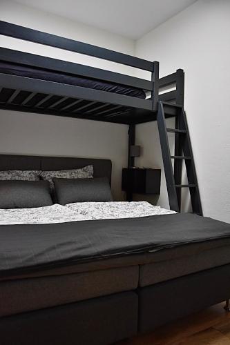 a bedroom with a black bunk bed with a ladder at Faupel Ferienwohnung in Mülverstedt