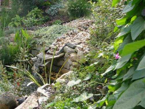 a garden with rocks and plants and flowers at Penzion-apartmán Souček in Jindrichuv Hradec