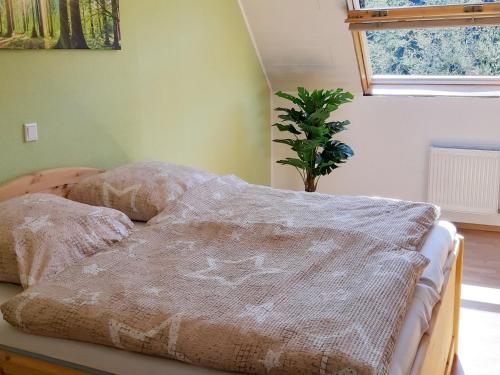 a bed in a bedroom with a plant in the corner at Ferienwohnung Ruhrort in Brilon