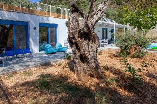 Κήπος έξω από το Galini Villas