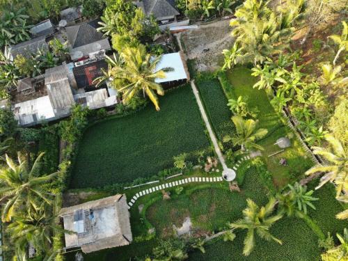 an aerial view of a yard with palm trees at Mu Homestay in Tetebatu