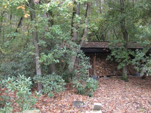 a stone building in the middle of a forest at Bosgeluk in Helmond