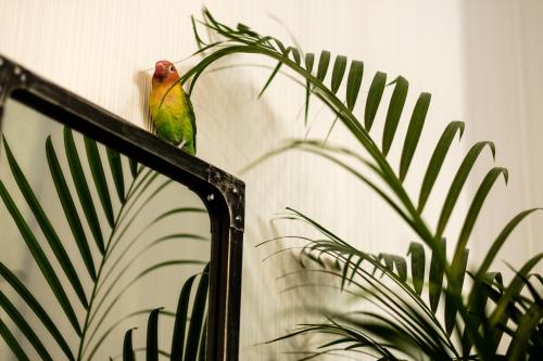a bird sitting on a rail next to a plant at Clement Barajas in Madrid