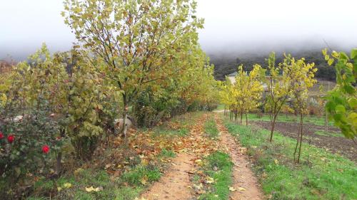 a row of apple trees in a garden at Le Chêne d´Azrou in Azrou