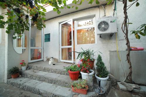 un gato sentado fuera de una casa con macetas en Volna Hotel, en Alushta