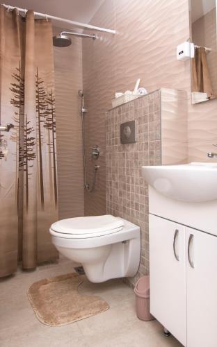 a bathroom with a toilet and a sink and a shower at Beo Green View in Belgrade
