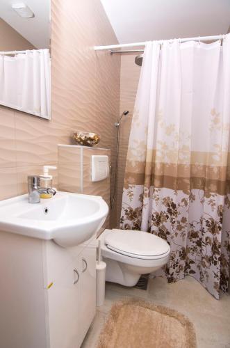 a bathroom with a sink and a toilet and a shower at Beo Green View in Belgrade