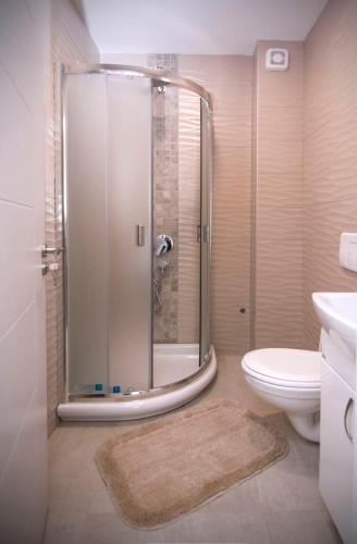 a bathroom with a shower and a toilet at Beo Green View in Belgrade