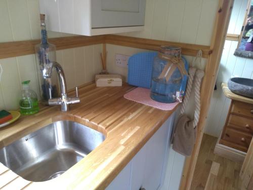 Malvern LinkにあるGlamping Malvern shepherd hutのキッチン(シンク、ミキサー付)