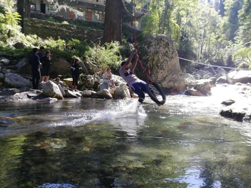 Gallery image of TreeSouls Riverside Farmstay Jibhi in Jibhi