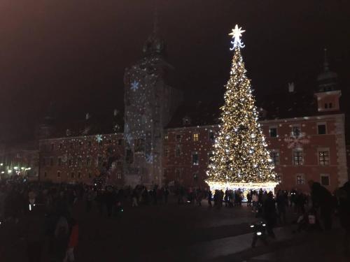 a christmas tree in front of a building at night at NEAR TO THE CASTLE in Warsaw