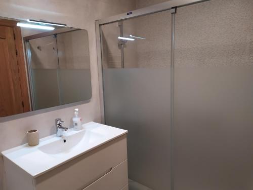 y baño con lavabo y ducha con espejo. en Alojamientos Mendebaldea, en Pamplona