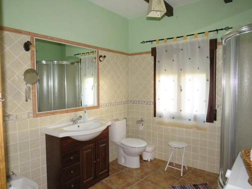 a bathroom with a sink and a toilet and a mirror at Casa Rural Las Nogueras in Caserío Arroyofrío