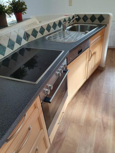 a kitchen with a sink and a counter at Haus Bayliss in Zederhaus
