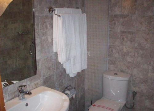 a bathroom with a white toilet and a sink at Guesthouse Evi Maria in Ángistron