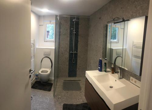 een badkamer met een douche, een wastafel en een toilet bij Konac in Antwerpen