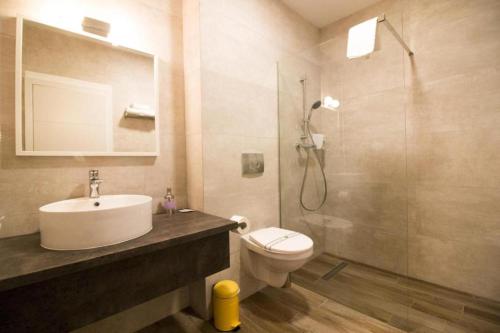 クルジュ・ナポカにあるCasa Bocaのバスルーム(トイレ、洗面台、シャワー付)