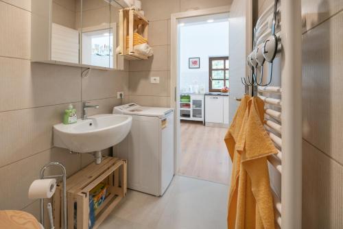 a bathroom with a sink and a washing machine at APARTMENT ZYNGA - STUD FARM in Šentvid pri Stični