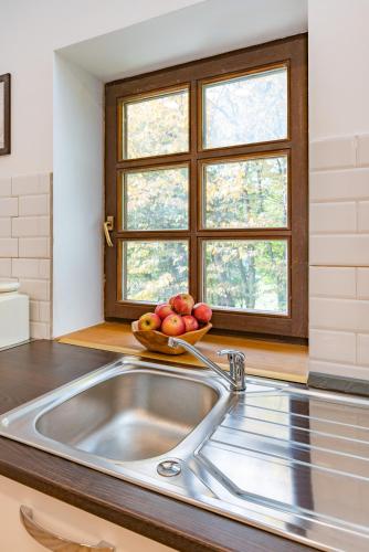 a kitchen with a sink and a bowl of apples at APARTMENT ZYNGA - STUD FARM in Šentvid pri Stični
