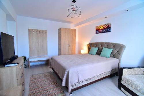 a bedroom with a large bed and a television at Belvedere Studio in Tulcea
