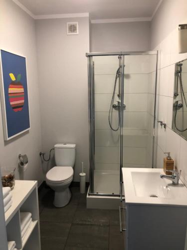 a bathroom with a shower and a toilet and a sink at APARTAMENT ŚMIAŁEGO 9 in Świdnica