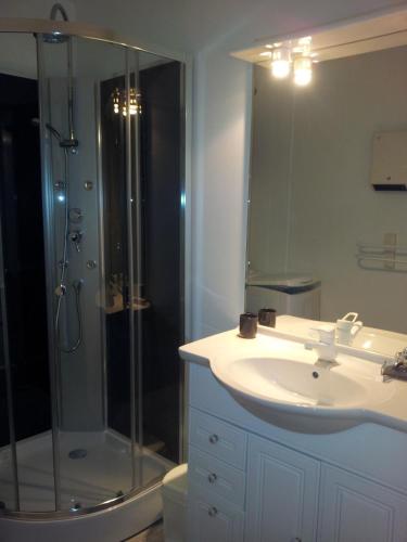 une salle de bain avec un lavabo et une douche dans l'établissement 