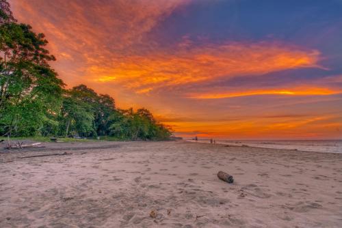 Caribe Town Bungalows – Photos 5