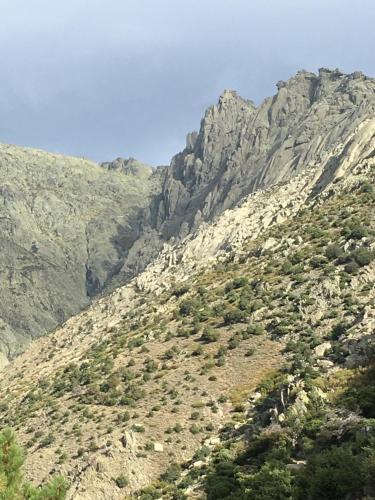 a view of a mountain with trees on it at Artesano II in Navarredonda de Gredos