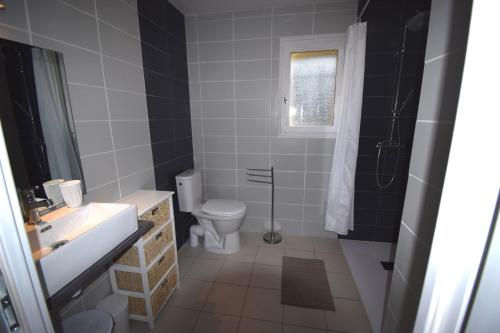 une salle de bain avec toilettes, lavabo et douche dans l'établissement VILLA PECH DE DURAND VILLENEUVE SUR LOT, à Villeneuve-sur-Lot